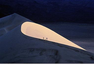 《彩虹六号：异种》干员技能独家解析视频发布